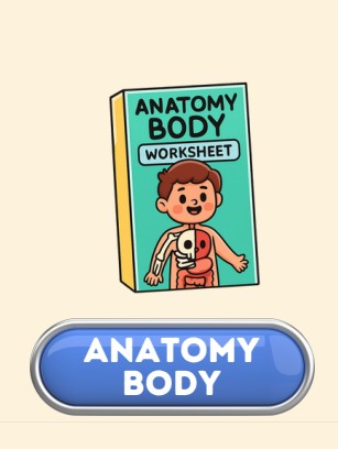 Mockup asal EduLand: Anatomy Body